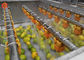 Kleiner Kraut-Gemüseprozessor-Maschinen-Frucht-Gemüse-Reiniger-Hochdruckwasser-Erröten